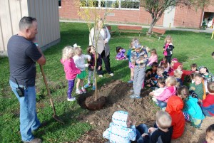 Kindergarten Tree Planting