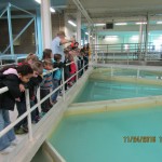 Students look at the area where water begins the cleaning process