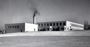 Rear View 1953